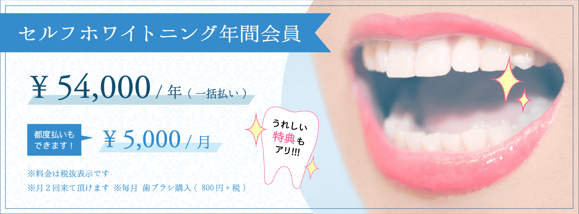 セルフホワイトニング年間会員