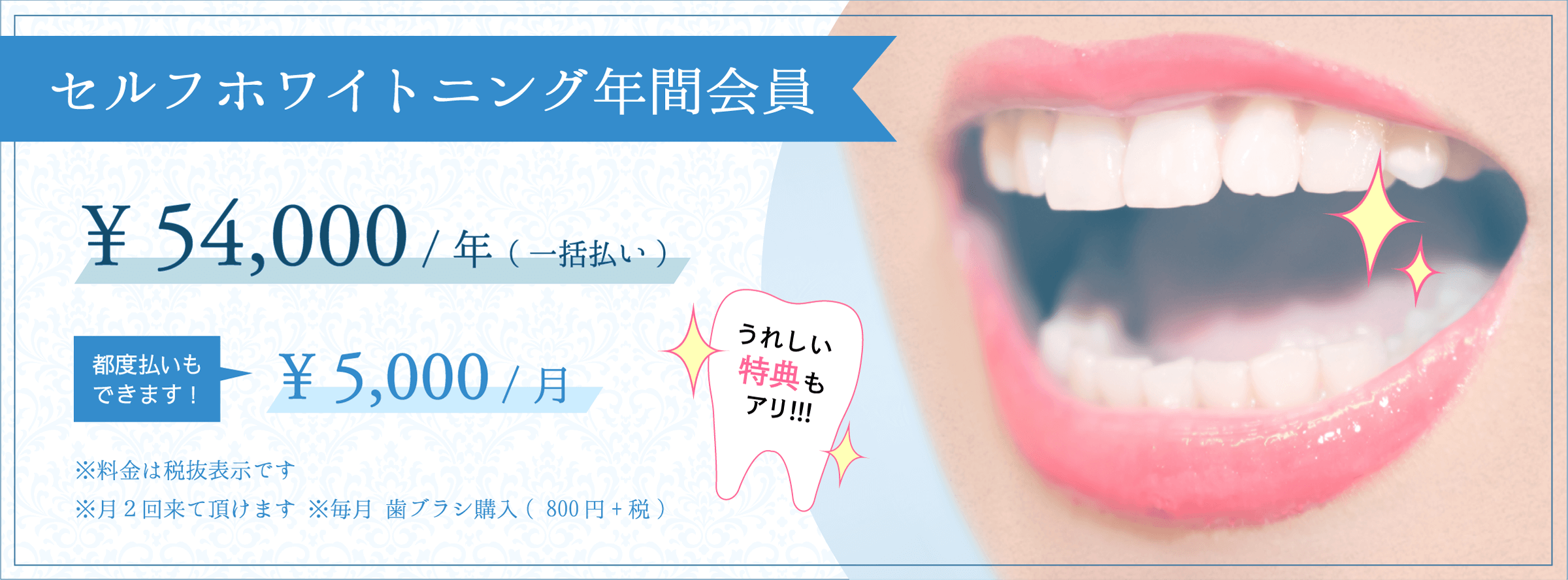 セルフホワイトニング年間会員